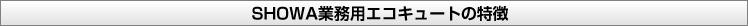 showa�Ɩ��p�G�R�L���[�g�̓���